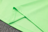 2025 Palmeiras Green Sweater Tracksuit