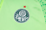 2025 Palmeiras Green Sweater Tracksuit