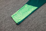 2025 Palmeiras Green Sweater Tracksuit