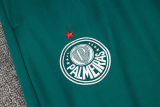 2025 Palmeiras Green Sweater Tracksuit