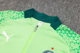 2025 Palmeiras Green Sweater Tracksuit