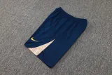 2025 BA Sapphire Blue Vest Training Jersey(A Set)