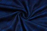 2025 BA Sapphire Blue Vest Training Jersey(A Set)