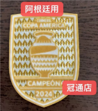 2024/25 Argentina America 1:1 Quality Home Fans Jersey  无胸前章版