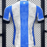 2024/25 Argentina Special Edition Player Version Jersey