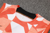 2025 In Milan Vest Training Jersey(A Set)