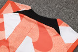 2025 In Milan Vest Training Jersey(A Set)