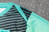2025 South Korea Lake Blue Training Jersey(A Set)