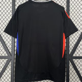 2024/25 Lyon Away Black Fans Soccer Jersey