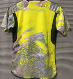 2024/25 Colombia Yellow Special Edition Fans Jersey