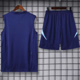 2025 ARS Sapphire Blue Vest Training Jersey(A Set)