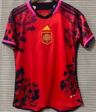 2024/25 Spain Special Edition Red Fans Jersey
