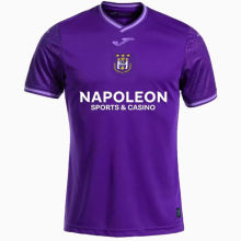 2024/25 RSC Anderlecht Home Fans Soccer Jersey 安德莱赫特