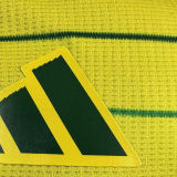2024/25 Celtic Away Yellow Green Player Version Soccer Jersey