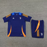 2025 JUV Sapphire Blue Training Jersey(A Set)