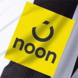 2024/25 Newcastle Third White Fans Soccer Jersey 背后图案是鸟