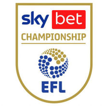 EFL CHAMPIONSHIP Ptach 右袖 英冠臂章 (You can buy it Or tell me to print it on the Jersey )