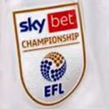 EFL CHAMPIONSHIP Ptach 右袖 英冠臂章 (You can buy it Or tell me to print it on the Jersey )