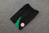 2025 Nigeria Training Jersey(A Set)