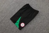 2025 Nigeria Training Jersey(A Set)