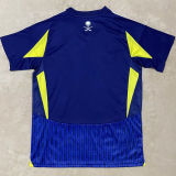 2024/25 Al Nassr Away Fans Soccer Jersey