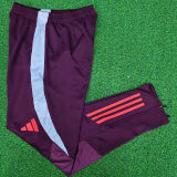 2024/25 BFC Sports Trousers 拜仁