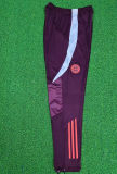 2024/25 BFC Sports Trousers 拜仁