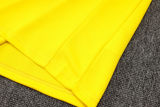 2025 Brazil Yellow Sweater Tracksuit