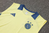 2025 AA Yellow Vest Training Jersey(A Set)