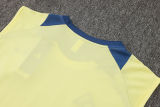 2025 AA Yellow Vest Training Jersey(A Set)