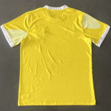 2024/25 Brazil Special Edition Yellow Fans Jersey