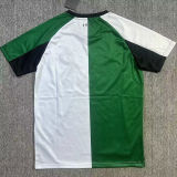 2024/25 FY Third Green White Fans Soccer Jersey