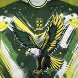 2024/25 Brazil Special Edition Fans Jersey