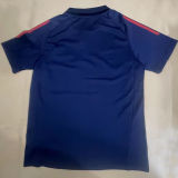 2024/25 Man Utd Polo Short Jersey