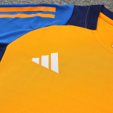 2025 AD~ Orange Vest Training Jersey(A Set)