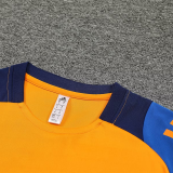 2025 AD~ Orange Training Jersey(A Set)