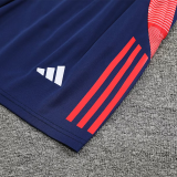 2025 AD~ Sapphire Blue Vest Training Jersey(A Set)