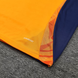 2025 AD~ Orange Vest Training Jersey(A Set)