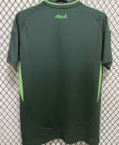 2025 Algeria Third Green Fans Soccer Jersey