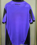2024/25 Botafogo Purple Goalkeeperans Soccer Jersey