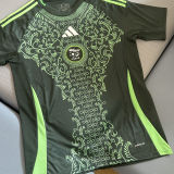 2025 Algeria Third Green Fans Soccer Jersey