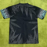 2024/25 Brazil Special Edition Fans Jersey