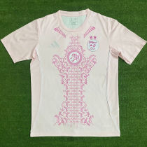 2025 Algeria Special Edition Fans Soccer Jersey