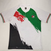 2024/25 Palestine Fans Soccer Jersey