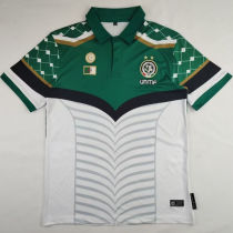 2024/25 Palestine Green White Fans Soccer Jersey