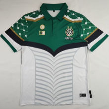 2024/25 Palestine Green White Fans Soccer Jersey