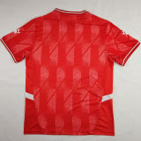 2024/25 Palestine Red Fans Soccer Jersey