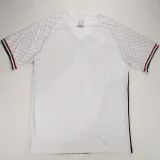 2024/25 Palestine Fans Soccer Jersey