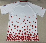 2024/25 Sunderland Commemorative Edition Fans Soccer Jersey