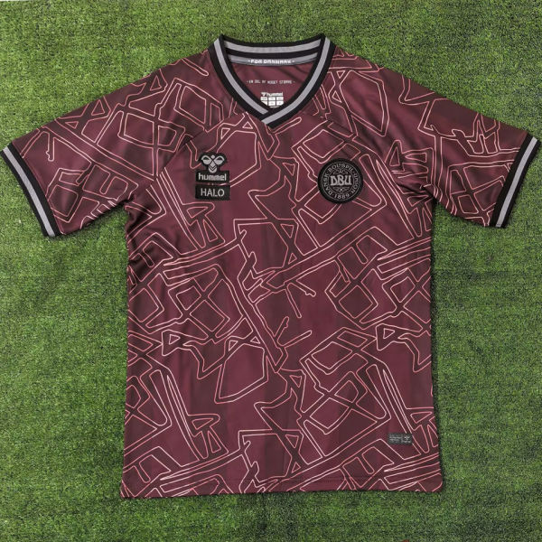 2024/25 Denmark HALO Special Edition Fans Soccer Jersey